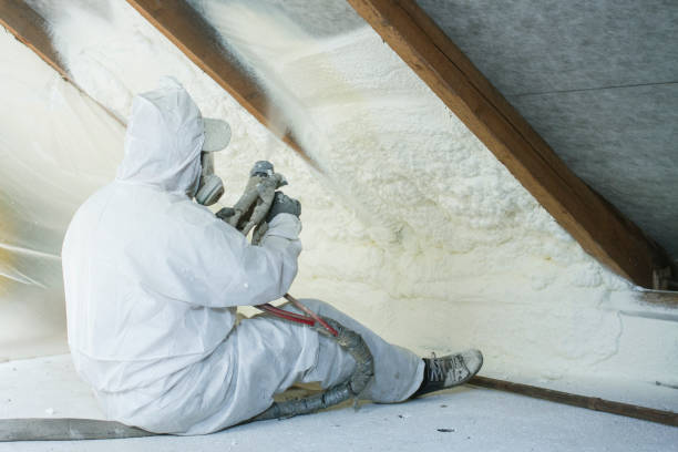 Best Insulation Replacement  in Duluth, MN