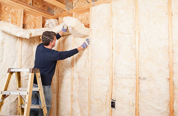 Best Batt and Roll Insulation  in Duluth, MN