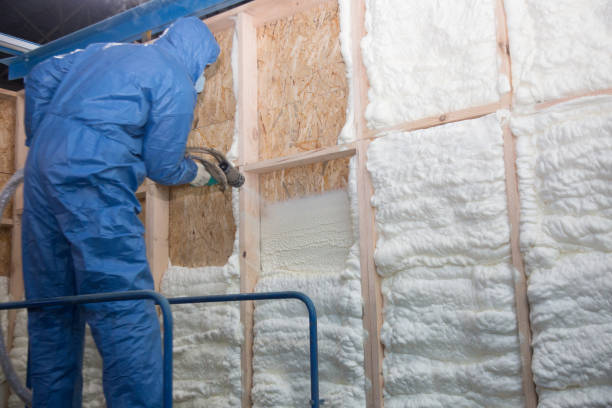 Best Insulation for New Construction  in Duluth, MN